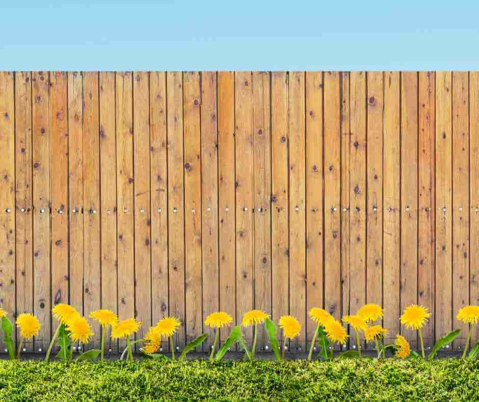 Do Fence Posts Need to be Set in Concrete?