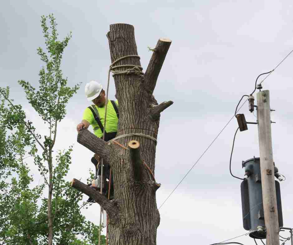 Google Guaranteed: Another Reason to Hire Butler Contracting in Bastrop, Texas