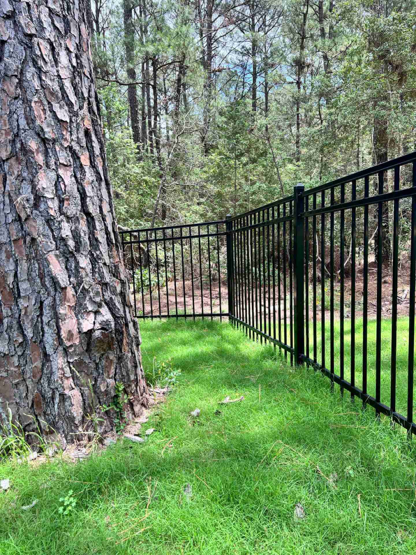 Fence Heights: Tips From a Bastrop County, Texas Fence Company