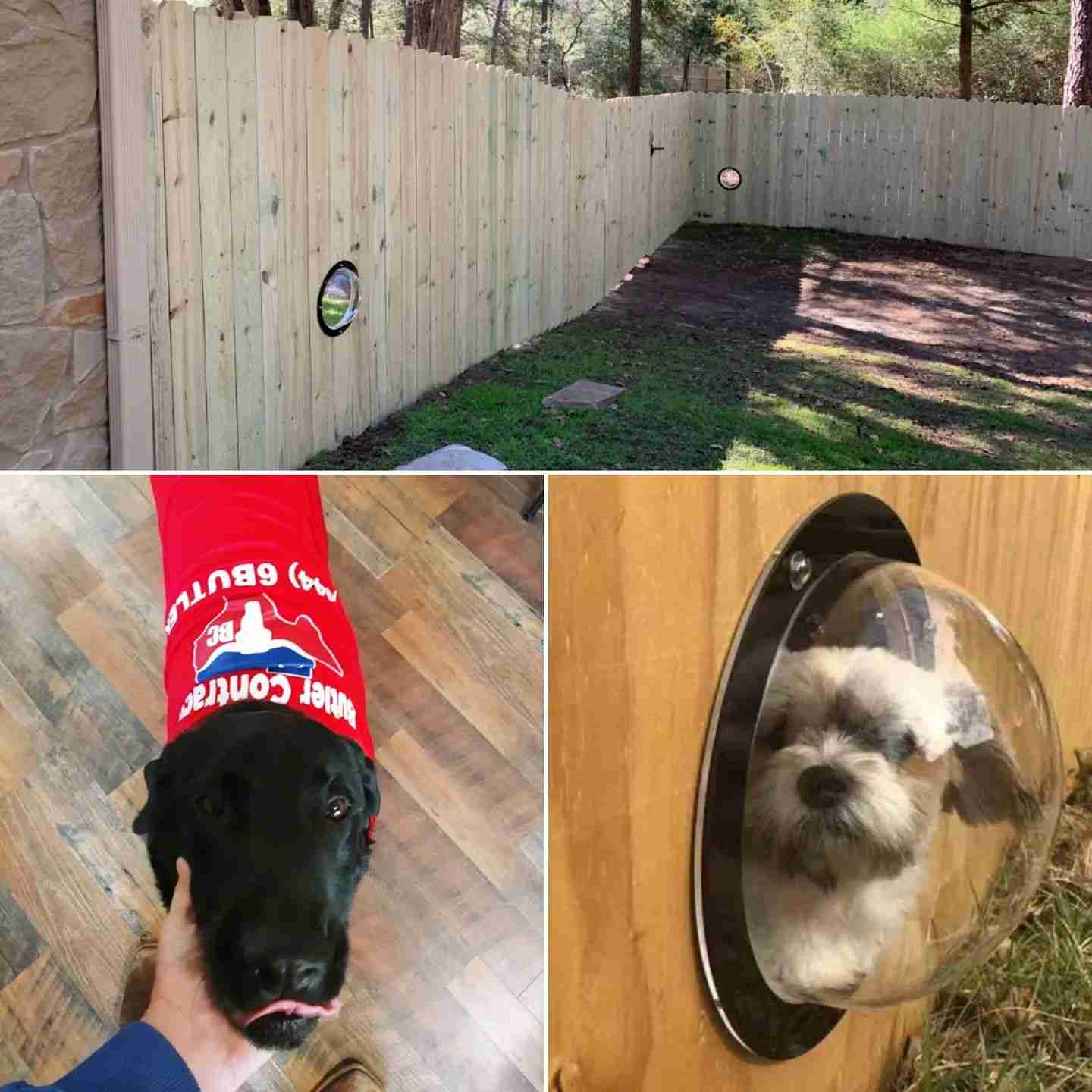 Enjoying Birds in Your Bastrop County Backyard