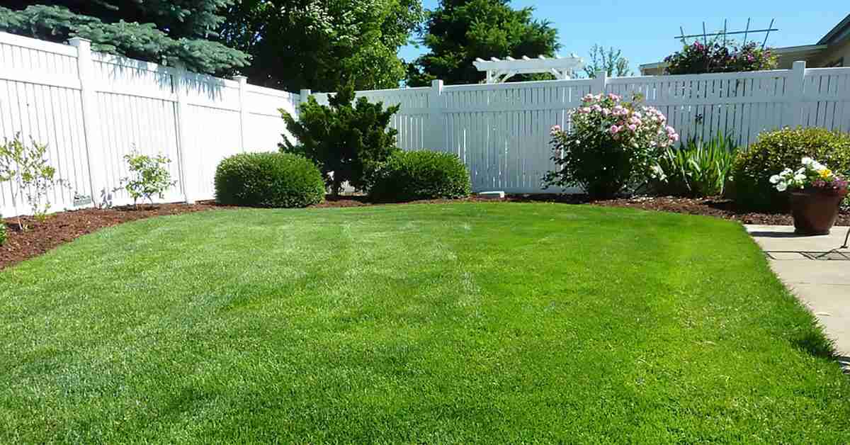 How Can a Central Texas Privacy Fence Keep Your Home Safe This Holiday Season?