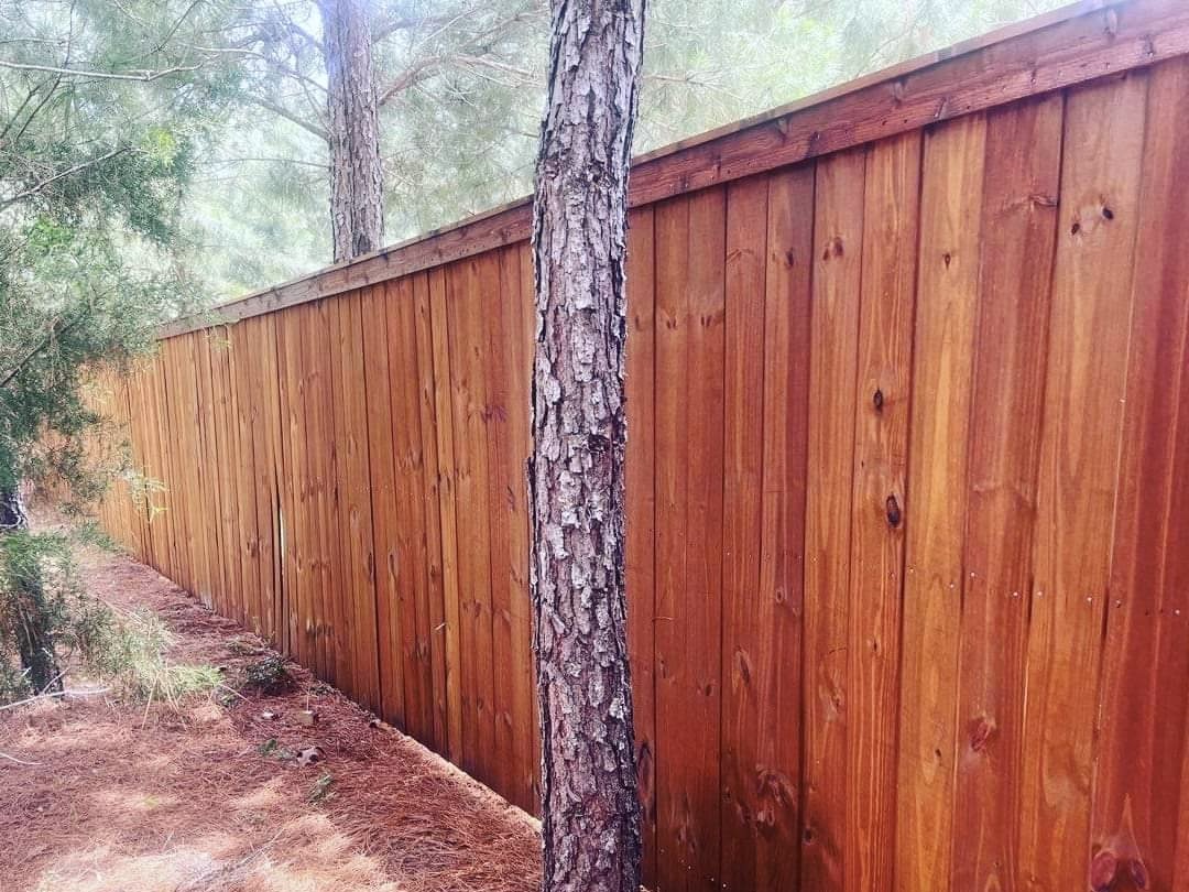 Photo of a stained Bastrop TX wood fence